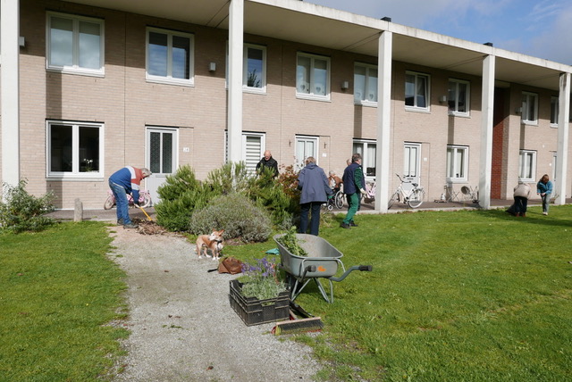 NOOTGROEN2019fotoIenkeKastelein