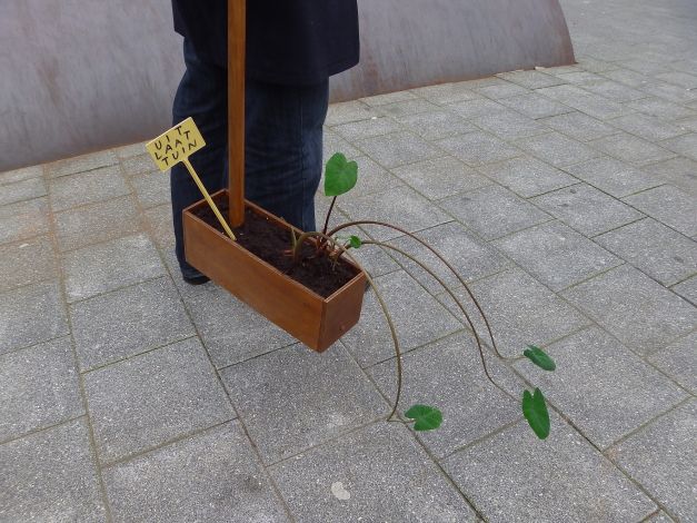 UITLAATTUIN met bordje