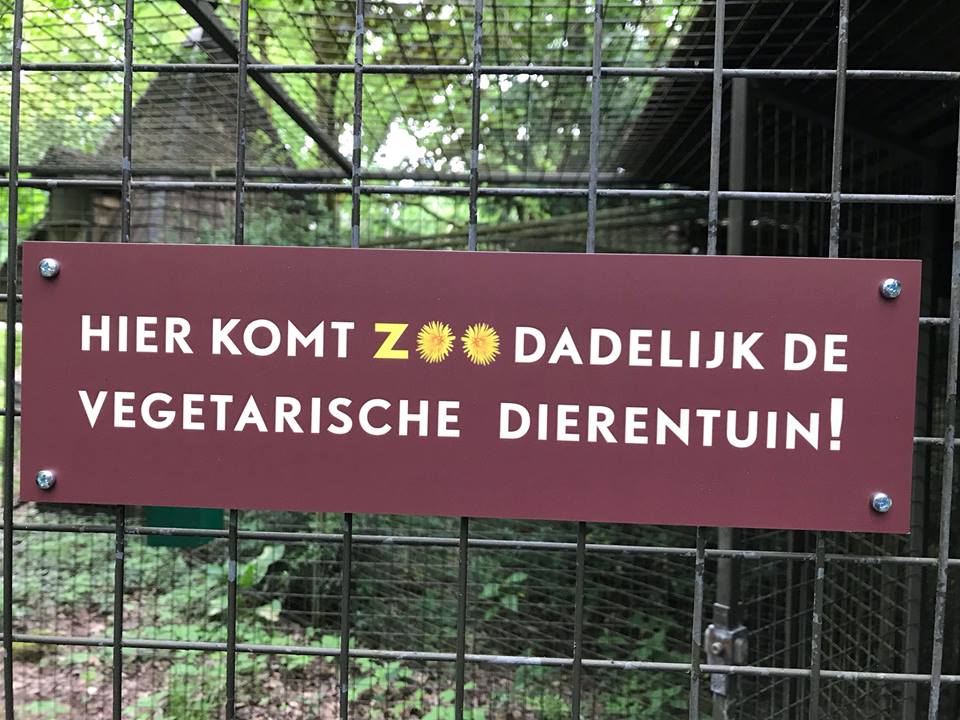 ZOOdadelijkpimtrooster