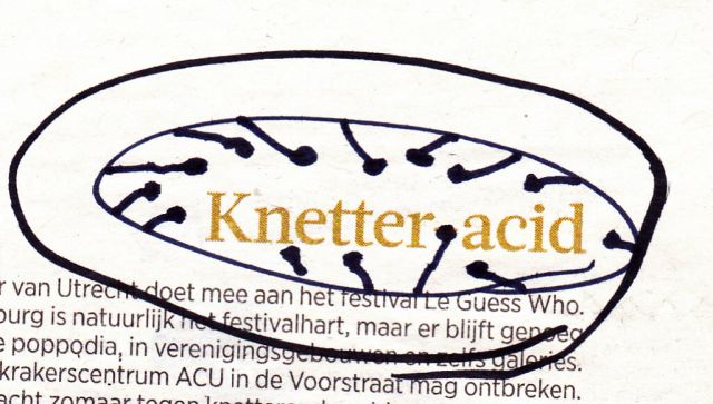 knetteracid NEW