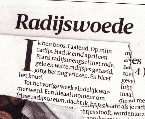 RADIJSWOEDE_0001_NEW