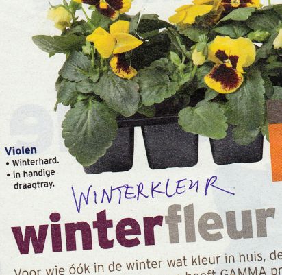 winterfleur_NEW